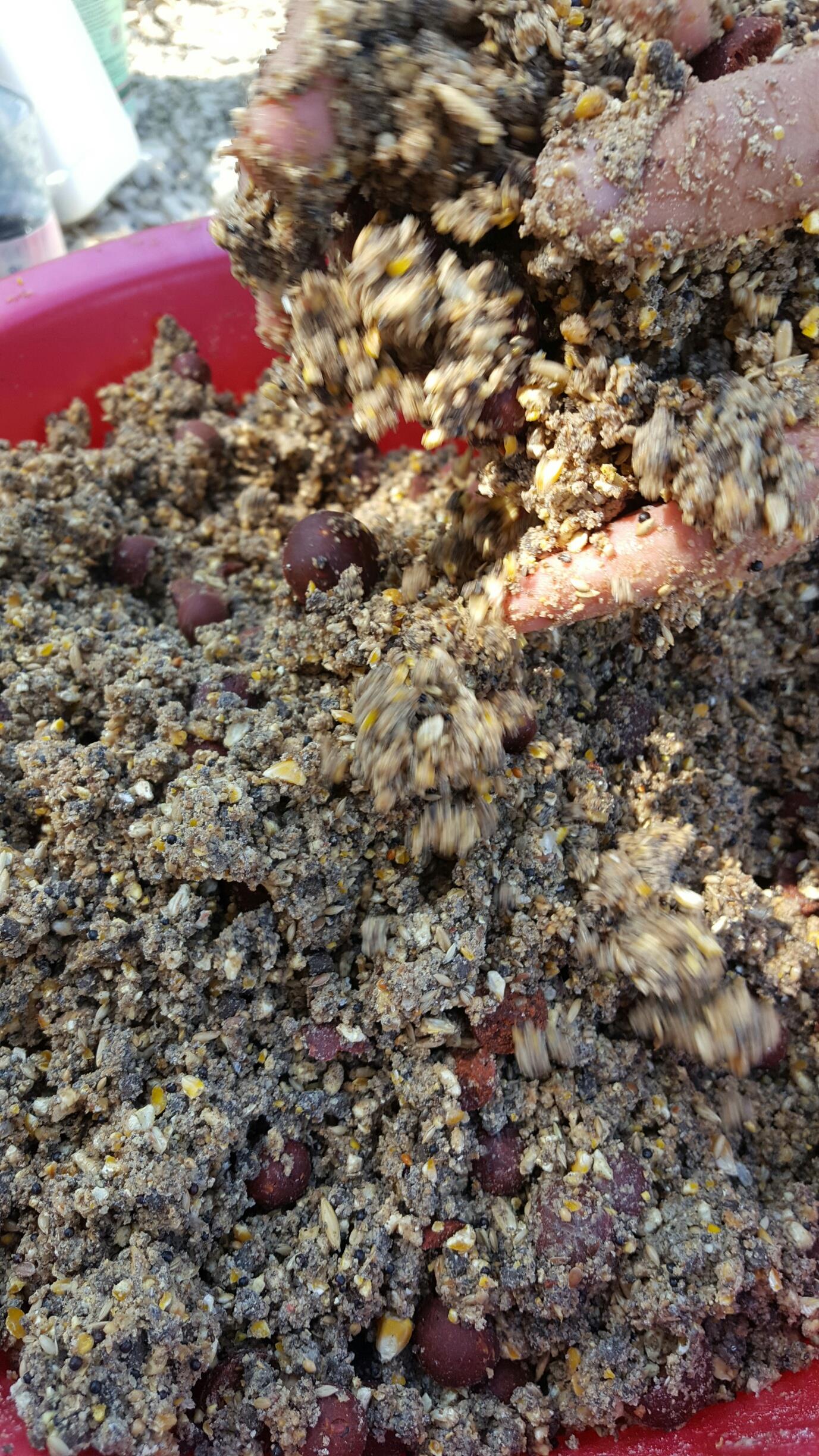 Corbu 19 - 22 mai 2016 - 20160519143956resized.jpg